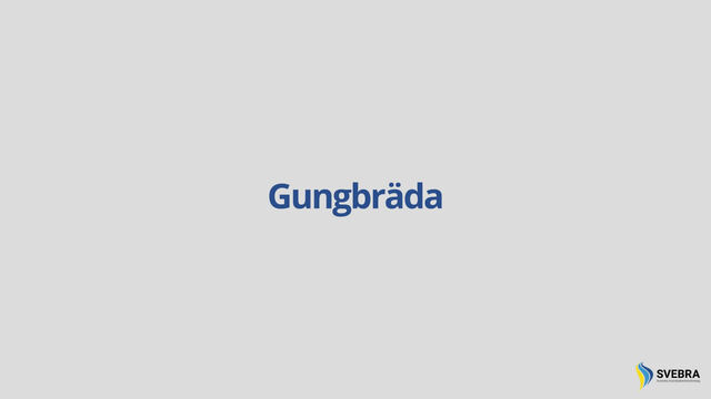 Gungbrädan